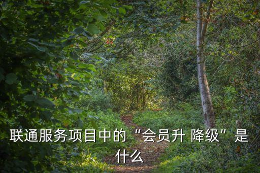 聯(lián)通服務(wù)項目中的“會員升 降級”是什么