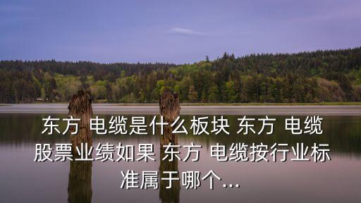  東方 電纜是什么板塊 東方 電纜 股票業(yè)績?nèi)绻?東方 電纜按行業(yè)標(biāo)準(zhǔn)屬于哪個...