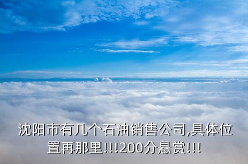  沈陽(yáng)市有幾個(gè)石油銷售公司,具體位置再那里!!!200分懸賞!!!