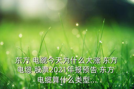  東方 電纜今天為什么大漲 東方 電纜 股票2021年報預(yù)告 東方 電纜算什么類型...