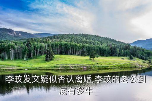 李玟發(fā)文疑似否認(rèn)離婚,李玟的老公到底有多牛