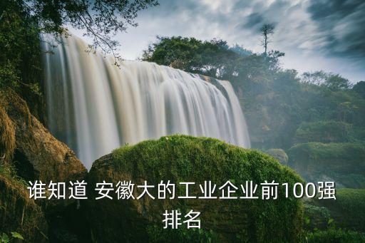 誰知道 安徽大的工業(yè)企業(yè)前100強(qiáng)排名