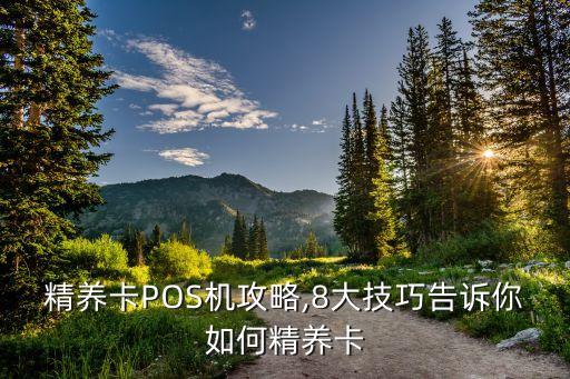 精養(yǎng)卡POS機(jī)攻略,8大技巧告訴你如何精養(yǎng)卡