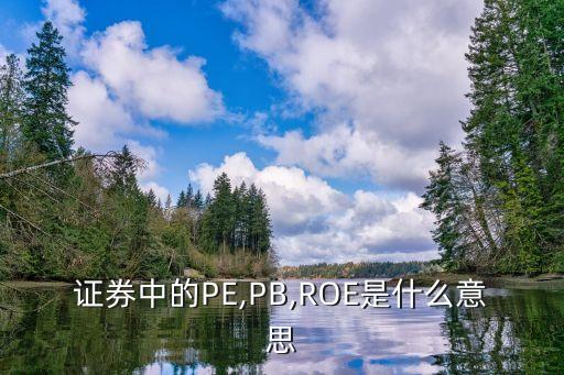 證券中的PE,PB,ROE是什么意思