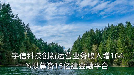  宇信科技創(chuàng)新運(yùn)營業(yè)務(wù)收入增164%擬募資15億建金融平臺(tái)