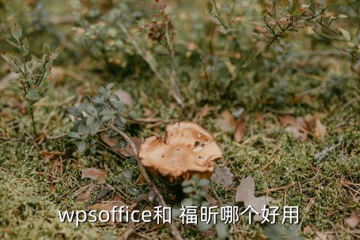 wpsoffice和 福昕哪個(gè)好用