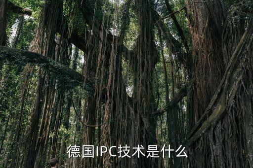 請問誰知道德國ipc金融公司