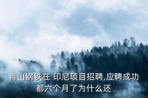 青山鋼鐵在 印尼項目招聘,應(yīng)聘成功都六個月了為什么還