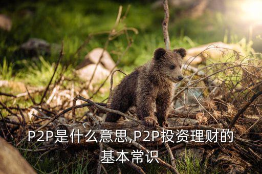 P2P是什么意思,P2P投資理財(cái)?shù)幕境ＷR(shí)