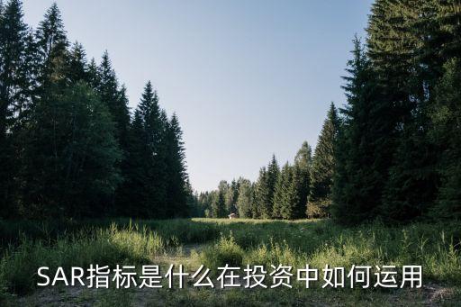 SAR指標(biāo)是什么在投資中如何運用