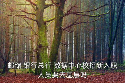 郵儲 銀行總行 數(shù)據(jù)中心校招新入職人員要去基層嗎