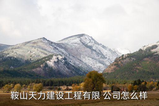 鞍山天力建設(shè)工程有限 公司怎么樣