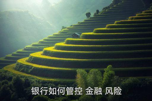 銀行防范金融風(fēng)險(xiǎn)