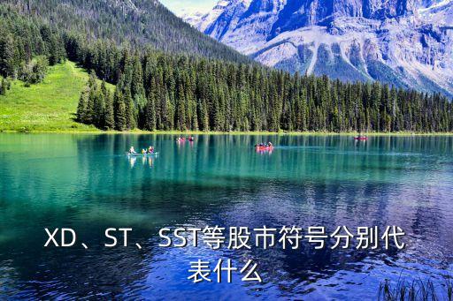 XD、ST、SST等股市符號分別代表什么