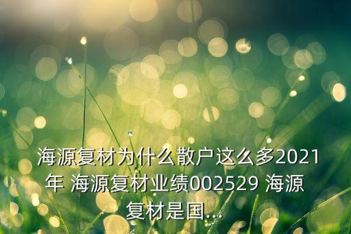  海源復材為什么散戶這么多2021年 海源復材業(yè)績002529 海源復材是國...