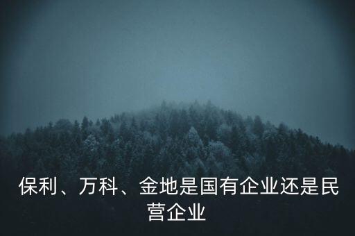  保利、萬科、金地是國有企業(yè)還是民營企業(yè)