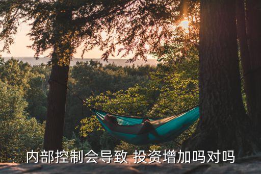 內(nèi)部控制會導(dǎo)致 投資增加嗎對嗎