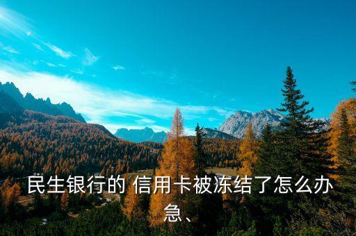  民生銀行的 信用卡被凍結(jié)了怎么辦急、