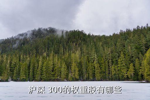 滬深 300的權重股有哪些