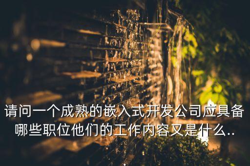 請問一個成熟的嵌入式開發(fā)公司應(yīng)具備哪些職位他們的工作內(nèi)容又是什么...