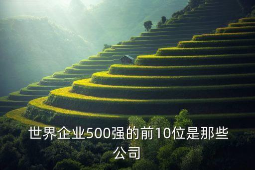  世界企業(yè)500強的前10位是那些公司