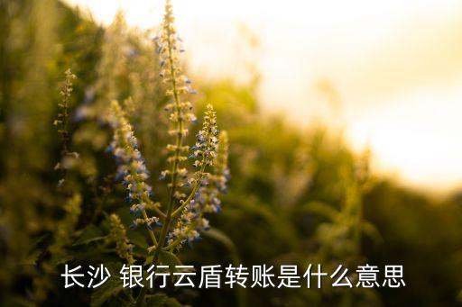 長(zhǎng)沙銀行掌錢(qián)移動(dòng)金融專家