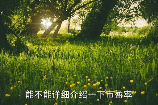 能不能詳細(xì)介紹一下市盈率