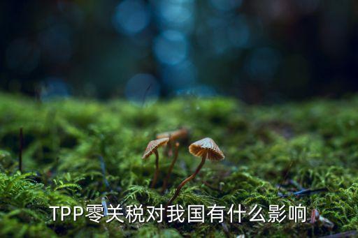 TPP零關稅對我國有什么影響