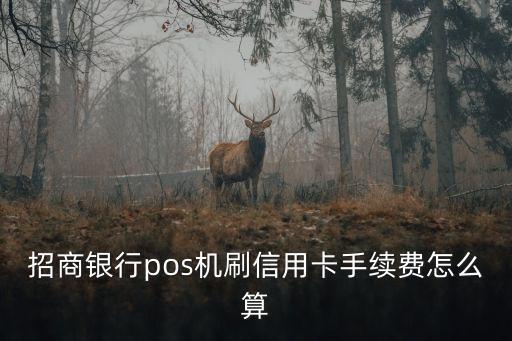 招商銀行pos機刷信用卡手續(xù)費怎么算