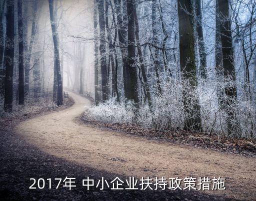 2017年 中小企業(yè)扶持政策措施