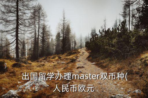  出國留學(xué)辦理master雙幣種(人民幣歐元