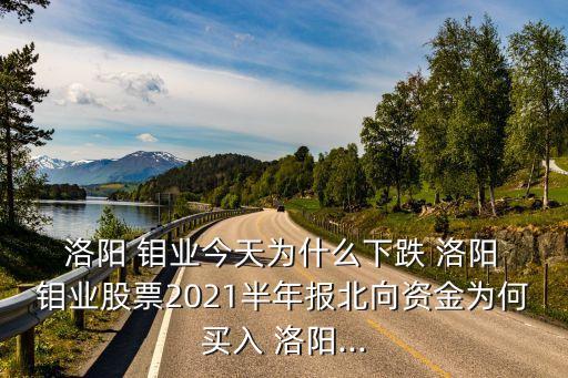  洛陽 鉬業(yè)今天為什么下跌 洛陽 鉬業(yè)股票2021半年報北向資金為何買入 洛陽...