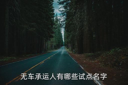 無車承運人有哪些試點名字