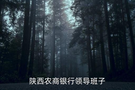 陜西農(nóng)商銀行領(lǐng)導(dǎo)班子