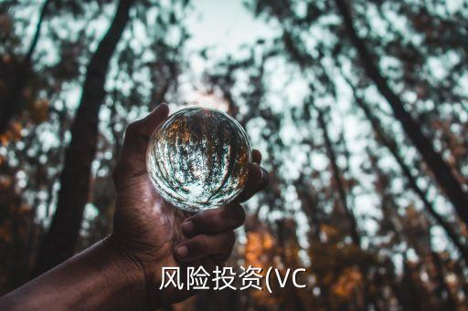 風險投資(VC