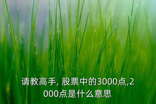 請(qǐng)教高手, 股票中的3000點(diǎn),2000點(diǎn)是什么意思