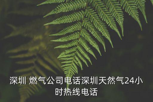 深圳 燃?xì)夤倦娫捝钲谔烊粴?4小時(shí)熱線電話