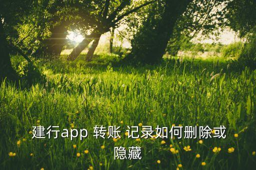  建行app 轉(zhuǎn)賬 記錄如何刪除或隱藏