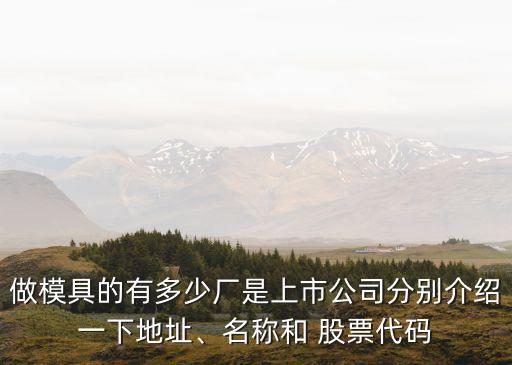 做模具的有多少廠是上市公司分別介紹一下地址、名稱和 股票代碼