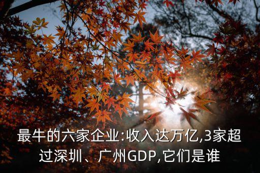 最牛的六家企業(yè):收入達(dá)萬億,3家超過深圳、廣州GDP,它們是誰