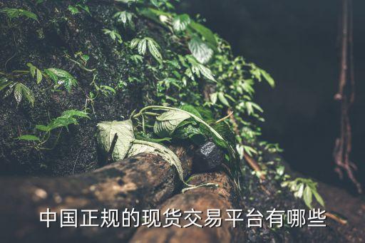 中國正規(guī)的現(xiàn)貨交易平臺(tái)有哪些