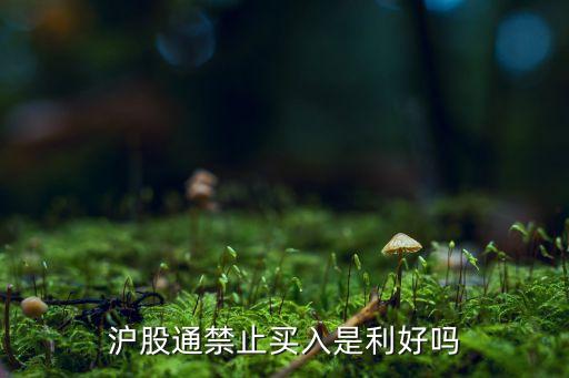 滬股通禁止買(mǎi)入是利好嗎