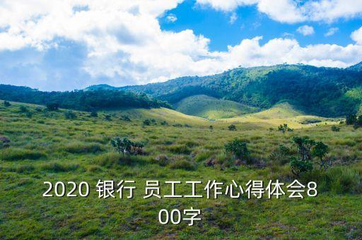 2020 銀行 員工工作心得體會(huì)800字