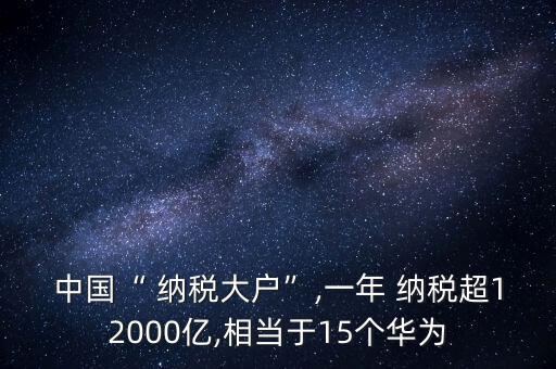 中國(guó)“ 納稅大戶”,一年 納稅超12000億,相當(dāng)于15個(gè)華為