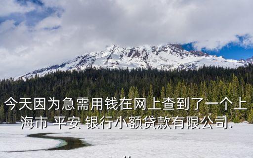 今天因為急需用錢在網上查到了一個上海市 平安 銀行小額貸款有限公司...