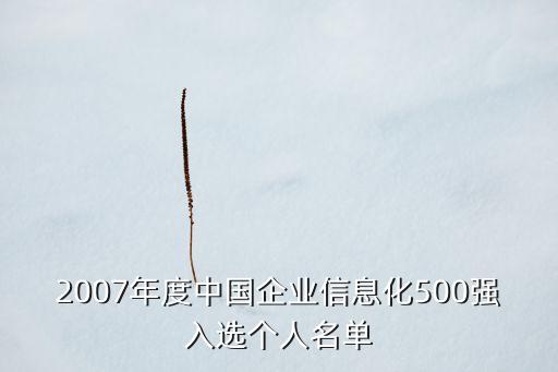 2007年度中國(guó)企業(yè)信息化500強(qiáng)入選個(gè)人名單