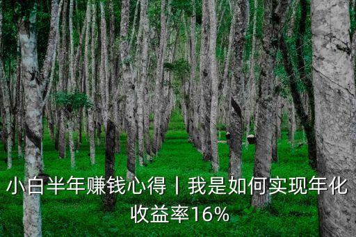 小白半年賺錢心得丨我是如何實現(xiàn)年化 收益率16%