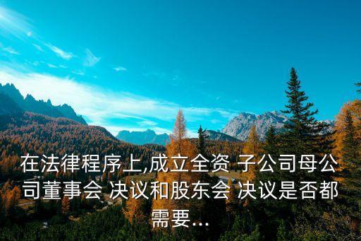 在法律程序上,成立全資 子公司母公司董事會 決議和股東會 決議是否都需要...