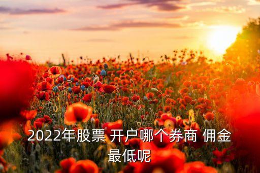 2022年股票 開戶哪個券商 傭金最低呢