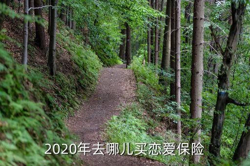 2020年去哪兒買戀愛保險